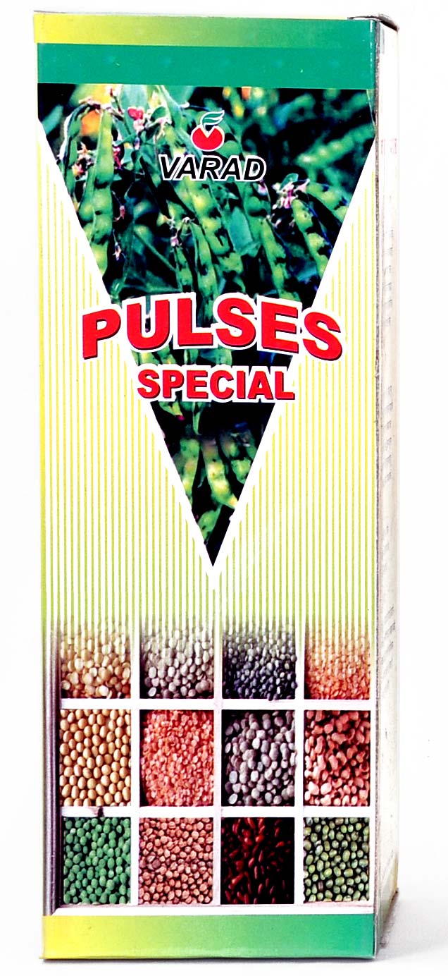 Pulses Special Manufacturer Supplier Wholesale Exporter Importer Buyer Trader Retailer in Mumbai Maharashtra India